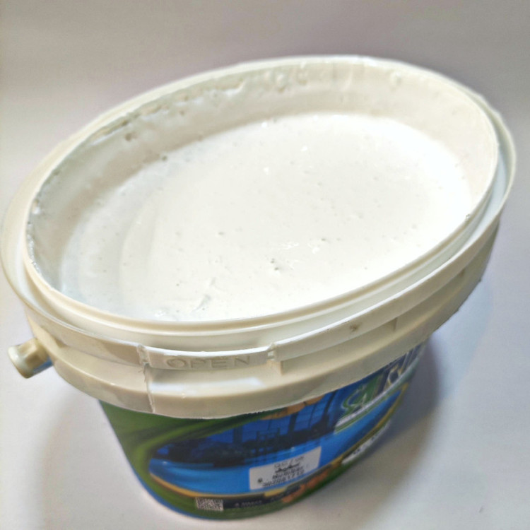 رنگ استخری آکریلیک آرتکس